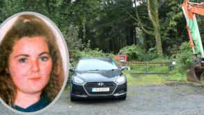 Garda&iacute; swarm site as dig gets underway for girl (15) who vanished 30 years ago