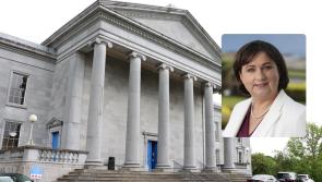 Judge urged to dismiss case against farmer who flung 'bag of dung' at Minister of State