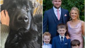 Fundraiser launched after expectant family lose 'precious' dog in major house fire