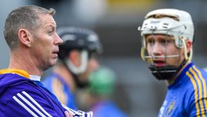 Semi-Final places up for grabs in Limerick senior hurling championship