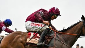 Tiger Roll to parade ahead of BoyleSports Munster National at Limerick Racecourse