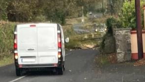 Storm Ashley: Crews deployed to clear debris and fallen trees from roads  across Limerick