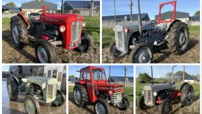 PICTURES: Irish farmers on alert as rare vintage tractors from private collection on offer
