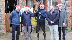 WATCH: Eric McNamara gears up for Mr Binman Limerick Christmas Races 