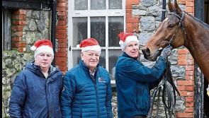 Limerick Racecourse ready with their annual Christmas offering