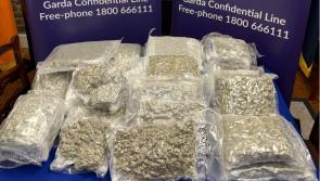 Man arrested and &euro;400k of 'vacuum-sealed bags' of cannabis seized as garda&iacute; raid house