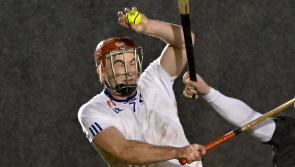 Shane O'Brien leads Mary Immaculate College to victory over SETU Waterford in Fitzgibbon Cup