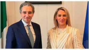 RT&Eacute; broadcaster resigns as she is named as a Fine Gael senator