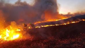 BREAKING: Campers evacuated as forest fire breaks out at Wild Nephin National Park in Mayo