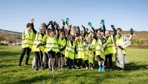 Over 20,000 people in Limerick to come together and clean-up this Good Friday