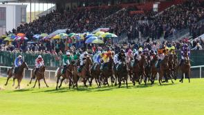 COMPETITION TIME: Win tickets to Punchestown Festival 2025 in Kildare 
