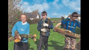 Green-fingered Limerick pupils get biodiversity grant boost