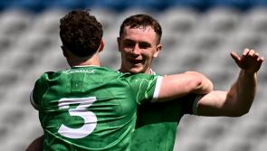 Limerick to hold open training session ahead of Tailteann Cup final