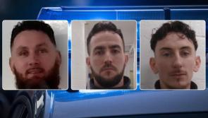 ALERT: Police launch manhunt as three prisoners with Irish connections escape from custody