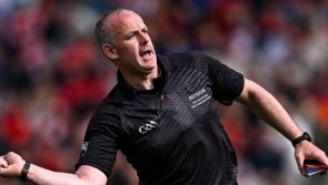 Limerick referee to take charge of big All-Ireland hurling semi-final clash