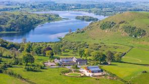 PICTURES: International interest in purchasing hidden gem in Limerick for &euro;3.75m