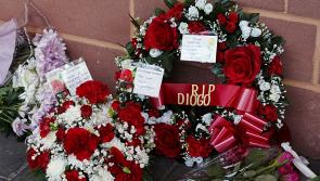 Ex-Ireland and Liverpool legend leads tributes as Diogo Jota killed in car crash in Spain