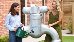 Water tankering in Limerick village as Uisce &Eacute;ireann issues conservation appeal