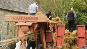 Bunratty Castle celebrate agricultural heritage with Traditional Harvest Day