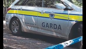 Garda&iacute; appeal for witnesses to separate collisions in Limerick City and County