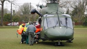 Two men airlifted to hospital following horror crash as Garda&iacute; urge witnesses to come forward