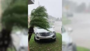 WATCH: Florida residents battle torrential conditions in shocking footage of Hurricane Milton 