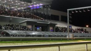 First final of 2022 in Limerick Greyhound Stadium this Saturday evening