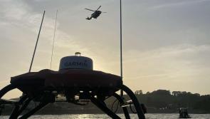 Freak wave in shallow water may have caused death of girl ,8, in Cork beach tragedy