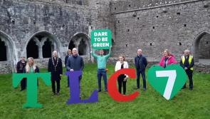 WATCH: Plans for Team Limerick Clean-Up 7 are revealed