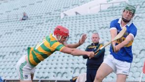 Fixtures confirmed: 17 key Limerick GAA games as club hurling and football enter final stages