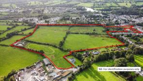 Land beside Limerick village sells for nearly &euro;2million