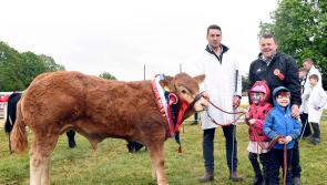 In Pictures: Charleville puts on a show as popular event makes welcome return
