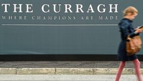 Betting: Dee Ex Bee can be buzz horse at Duty Free Irish Derby