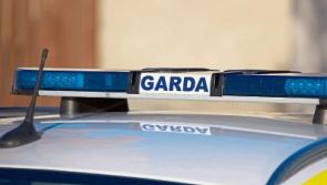 Gardai issue fresh appeal following fatal hit and run near&nbsp;Limerick / Cork border