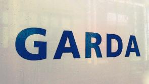 Daring thieves target tractor, jeep and homes in County Limerick