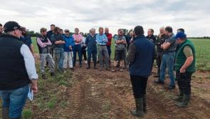 Limerick farmer shows how to make the best of a bad situation