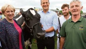 Taoiseach in &lsquo;rhapsody&rsquo; to&nbsp;meet Limerick cow Millie