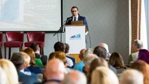 Limerick Council launches masterplan to become Ireland's first 'digital city'