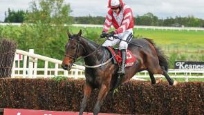 Top class entry for JT&nbsp;McNamara Ladbrokes Munster National at Limerick