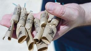 Limerick teens sustain facial burns and hole in hand after fireworks accident