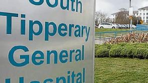 Pedestrian struck by truck on Limerick to Waterford Road dies