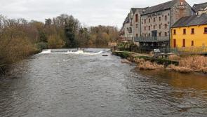 Residents in Limerick village &lsquo;terrified&rsquo; after window smashing appears on Snapchat