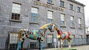Limerick's Hunt Museum appoints new board members