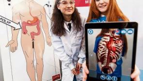 Limerick students enjoy interactive demos at BT Young Scientist