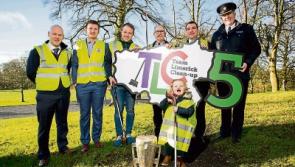 Limerick hurling stars have a tidy goal in sight for TLC5