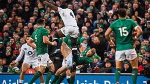 IRFU issue injury updates on CJ Stander and Keith Earls