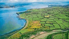 High Court ruling&nbsp;on Shannon LNG planning due next week