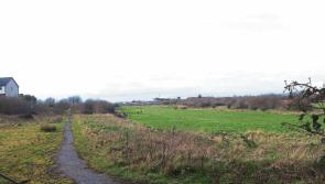 Limerick councillor calls for local authority to buy Greenpark site