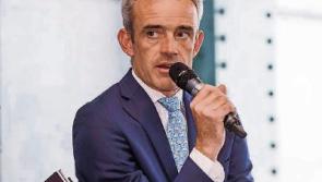 Betting: Ruby Walsh to regain top jockey award as Cheltenham fever hits