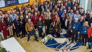 Limerick charities groups benefit from Analog company programme